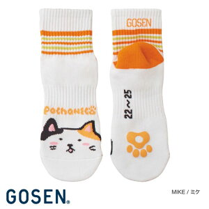 GOSEN(S[Z) fB[X n[t \bNX NSH03 22-25cm ꑫg C ejX \bNX EBY LSKS r-y[X|[cz