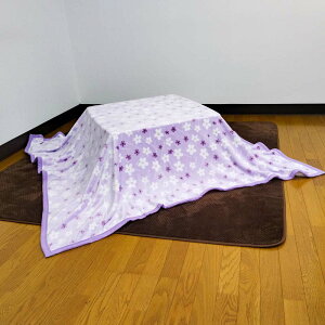 |ѕz 185×235cm ` j[}C[ѕz   ѕz }`ѕz Ђ qpѕz QPbg uPbg blanket   􂦂 l ybg wZ 