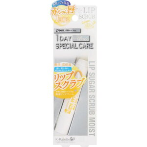 K|pbg 1daytattoo K-pbg bvVK[XNuCXga 02  bvN[ XeBbN bvPA O  ێ Ƃ 邨 XLPA q  Y fB[