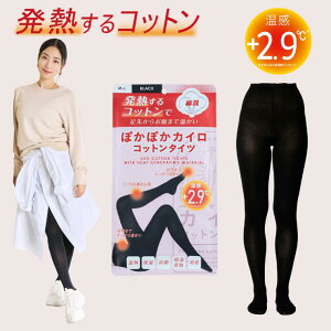 MEGUMI񈤗p ۂۂJC Rbg^Cc fB[X  23`25cm ȍ ߂ H~t Ci[ }^jeB Dw D  g h  ێ ۉ   iCgEFA u