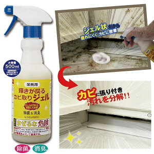 Ɩp P߂ JrWF 500ml e Jr΍ vdl Jrꔭ  AJ SpbL ^Cڒn  C   | |TbV Lb` ŉ ra  