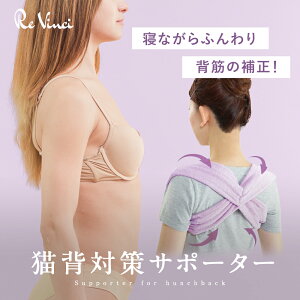 LwT|[^[ 1 Lwxg ObY p  ۂ肨 p ˂w w   b ̘r  ␳ }bT[W fB[X Y  j jp