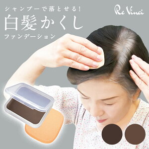 TN}` wAt@f[V B _[NuE uE щB   pE_[ ptt   ɂ   {[ wAPA wAJo[ wA