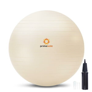 v}\[ oX{[ 45cm 55cm 65cm 75cm Ct A`o[Xg ω׏d300kg tBbglX{[ W{[ tBbglX