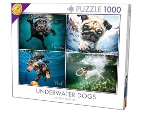 1000s[X WO\[pY  4 ZX LXeB[