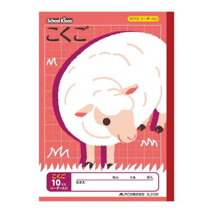 AsJ XN[LbY wK Ȗږ  10}X [_[ 2Zbg