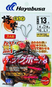 nuT(Hayabusa) SE750 UJC NGbO{[ Xl[NV j14|nX5