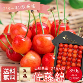 さくらんぼ 佐藤錦 山形県産 秀品 350g 2L玉 並べ詰め 贈答用 ギフト 家庭用 桜桃 サクランボ 果物 くだもの フルーツ