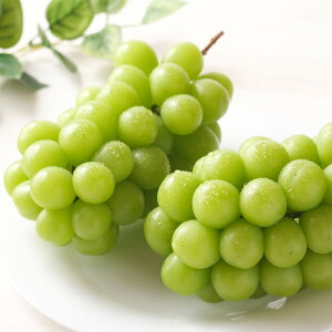 VC}XJbg  RY [ 1.4kg (700g×2[)  Ԃǂ p ƒp ʕ  t[c