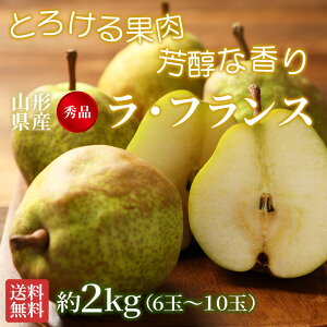 tX R`Y Gi 2kg 6`10 ʐ܂ mȂ p ƒp ʕ  t[c