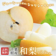 梨 約3.5kg 6~10玉 秀品 幸水 豊水 あきづき 新高 千葉県産 船橋 市川 なし 果物 くだもの フルーツ 家庭…