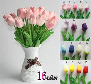  bv 16color 10{Zbg@݌Ɂ@A[gt[ u[P ԑ ̓ 