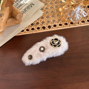 ؍ӂӂ wAsуwANbvOꂢfB[XwAANZT[