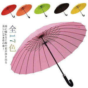 P JɔGƍoP 24{ JP P P P  WvP fB[X Y  킢 aP p jp  aP aP ϕ  킢 ʋ