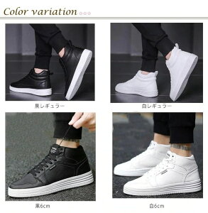 K V[NbgV[Y 6cm V[NbgV[Y jp gAbv  V[NbgXj[J[ K JWA 8cm Y Cq[ Xj[J[ C fB[X v[g