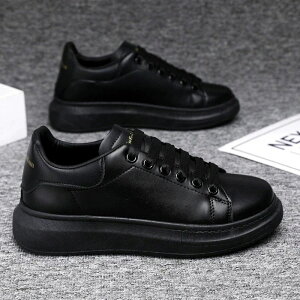  3ŏo Xj[J[ fB[X    傫TCY  [Jbg [XAbv ^bo-275^1157