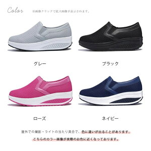 K Xb| fB[X [t@[ Vv JV Xj[J[  ʋC ʊw ʋ r 25