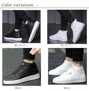 K V[NbgV[Y 6cm V[NbgV[Y jp gAbv  V[NbgXj[J[ K JWA 8cm Y Cq[ Xj[J[ C fB[X v[g