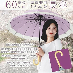 P fB[X P  P Y 傫 16{ e60cm JP P ^b` yJpE ՌՔMz xKX@ 䕗Ή J ~J΍