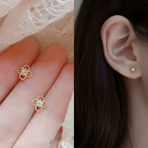 sAX 18 AM[Ή Vv ςȂ  t[ fB[X Ԃ