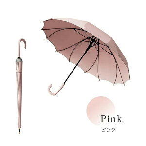 y{z[IP fB[X TNV[X ԂтP 16{ JP P 傫 y 킢P uvJbg Ă΍ WvP   Jp  