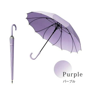 y{z[IP fB[X TNV[X ԂтP 16{ JP P 傫 y 킢P uvJbg Ă΍ WvP   Jp  