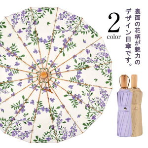 P ܂肽 SՌ Jp uvJbg P 16{ ɋ v  ϕ  ՔM  JP fB[X ܂ݎP RpN