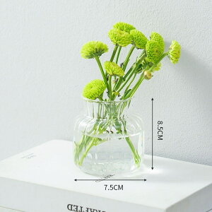 Viǉ KX ԕr t[x[X  ֑}   Ԃт~ VE Vv kanxia2418043