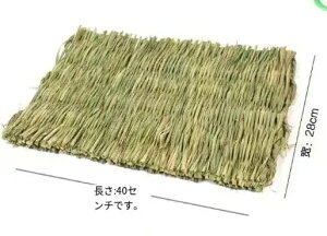 lCV 2IN1 2WAYg 4_Zbg `V[}bg ̍ԂƂ ̕҂ݕ YF2IN1 2WAYg 4_Zbg `V[}bg ̍ԂƂ ̕҂ݕ Y