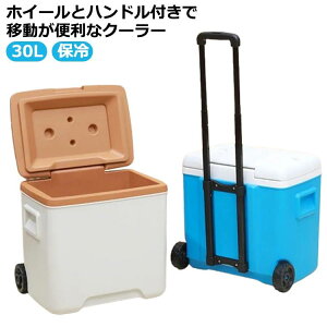 []N[[{bNX ^ LX^[t RpNg 30L nht ۗ N[[obO N[[oXPbg ۗobO e ֗ N[[