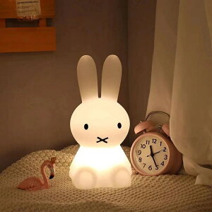 Cg Vo USB [d R^ oYj  q  ԐڏƖ