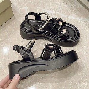 yK zT_ fB[X T_ Ẵr[`T_ fB[X V