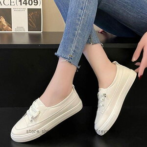 fB[X Xb| Vv y^RC pvX tbgV[Y _炩 JWA 傫TCY RtH[gV[Y   }}V[Y