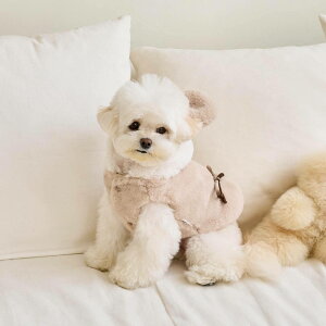 ̕VybgȂ̕̕~̒g pRX`[