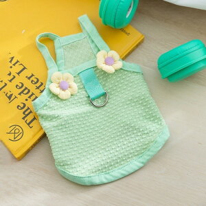 ȉԂ̌̌̕邱Ƃł鏬^rVt[[qqLXOtƉĂ̔ybg̕