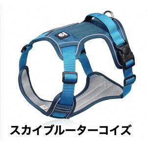 @p@n[lX@@v@hbOn[lX@^@^@^@n[lX@[ht@bV@ց@U@