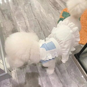 ybgLtĂ킢Ch[Xs[XrVefBL^