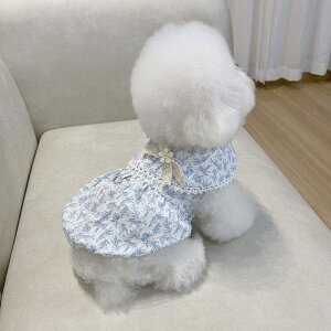  ėp X^C gNVobNt t`t[tFA[XJ[g Vybg rVefBLbg