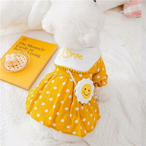   ybg L/ tH茢ybghXLefB|jAR[M[rV^