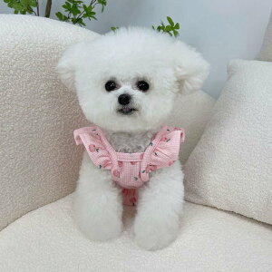   ybg L/ pXJ[g ybg t H   vZXXJ[g eB[Jbv  efB rV q L