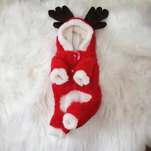   ybg L/ LH~蓂efBlϐgq^ybg킢