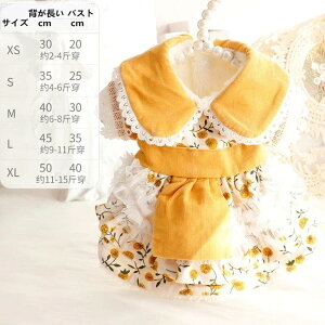 yViz2FtďH̐VVi̕L̃[^Pl_ER[gs[XV~Ñ~NL̎q}V}^ybgےgCXDZ