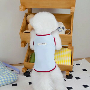 yztĐV쌢  m ybg̉Ă̎q̌̕킢Lz̃xXg