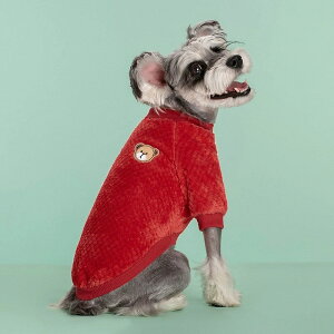 yVizHƓ~̐V}`J[t[htʂݕJWAX^CLƌ̕