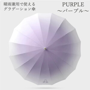 P P SՌ JpP ϕP JP fB[X y uvJbg % 傫  v  k { cm UPF +