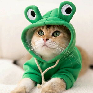 ybgEFA gtCOsbOH~LefBrV|jAViEU[^ybgVNZ[^[