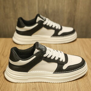 Xj[J[ Vt Y ʋC pr  X|[c JWA gh ؍t@bV