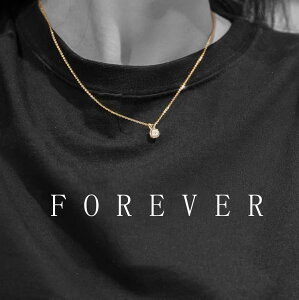 ilC̈ꗱCZ_ChlbNXXXeX AM[΍ KтȂF