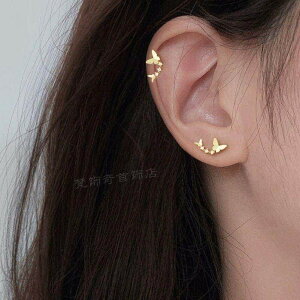 ̃sAX C[Jt Vo[o^tCsAX ₽CO ؍t@bV