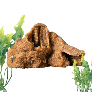 ঒ޗpgJQnEX | A঒ޓA - ^@\oXLOGA i W  ANZT[   Grp